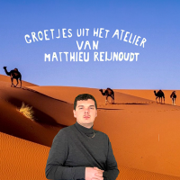 Matthieu Reijnoudt